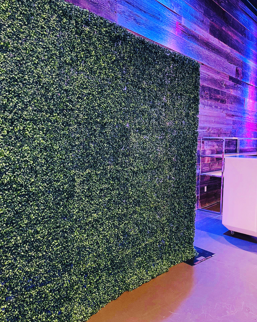 Green Hedge Boxwood Backdrop