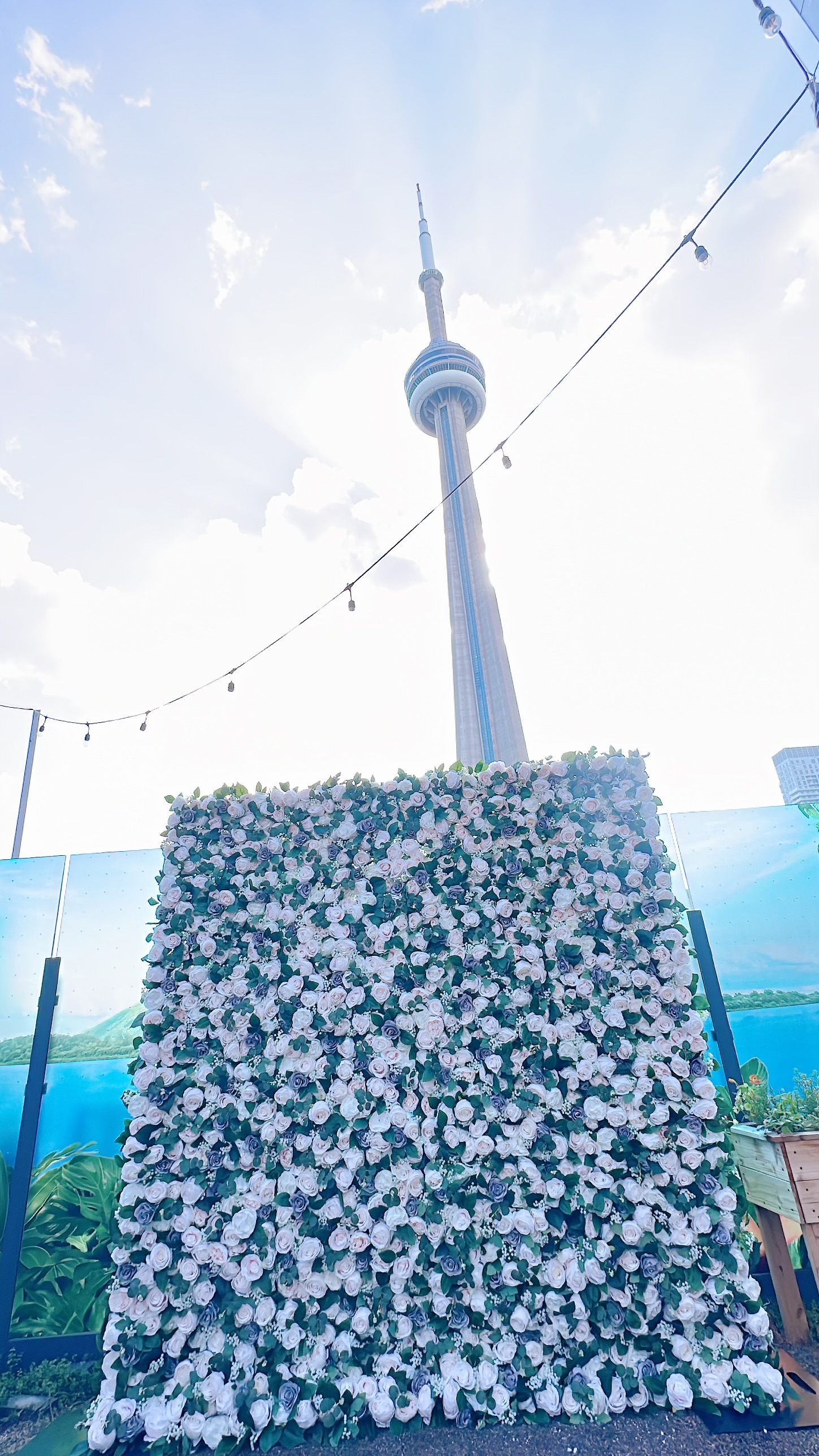Pearl Grey Pastel Flower wall backdrop