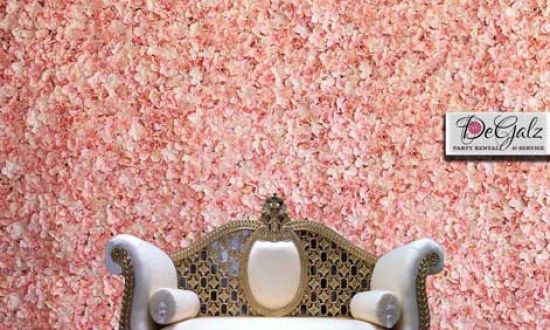 Blush Pink Hydrangea Flower Wall